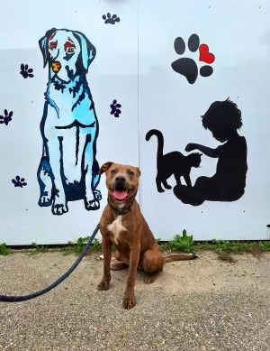 Mylo