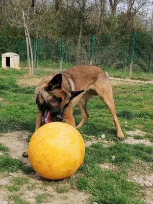 Pablo