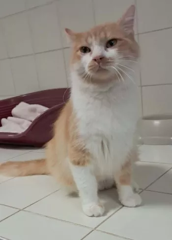 Penelope