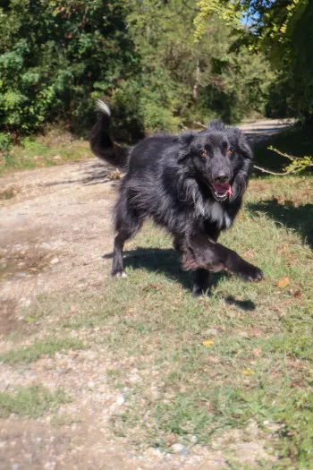 Aiko