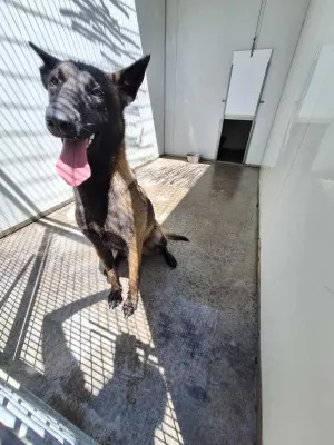 Channel
