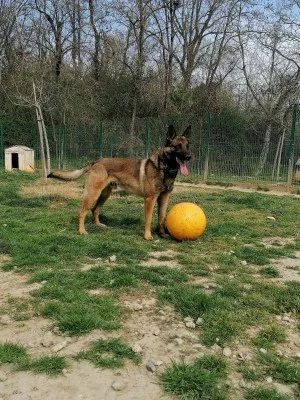 Pablo