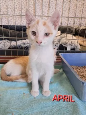 April