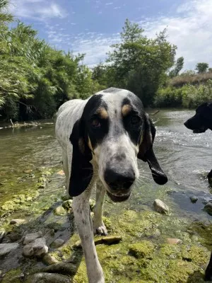 Norbert