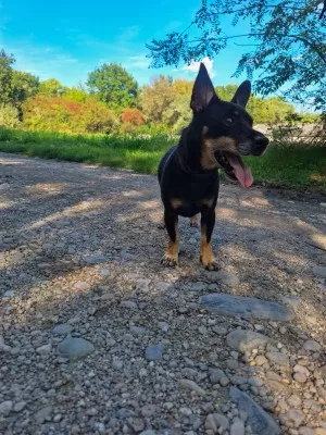 Loky