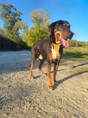 Max