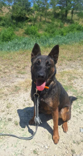 Maggie